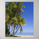 Search for pacific island posters White