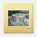Search for caged magnets I can has cheezburger