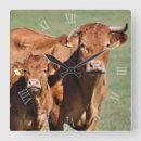Recherche de farm animal horloges Cattle
