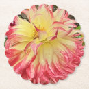 Search for dahlia flower coasters Summer