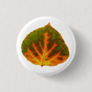Recherche de 1 badges Jaune
