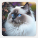 Search for soft cat stickers Cute animals