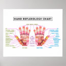 Search for chiropractic posters Doctor