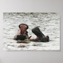 Recherche de bouche dents art Faune