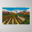 Search for old postcard posters Mountain