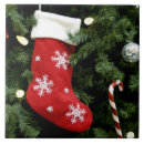 Recherche de larve carreaux Amérique du nord