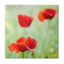 Search for red flower tiles Wildflower