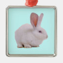 Recherche de lapin de pâques ornements Animal