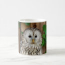 Search for barred owl mugs Animals