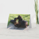 Search for for a friend cards Dog