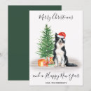 Search for border collie christmas cards Puppy