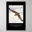 Search for profiteers posters Non profit