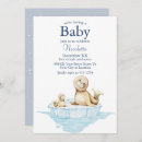 Recherche de bébés phoques invitations Phoque bébé