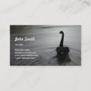 Recherche de natation photographie Oiseau