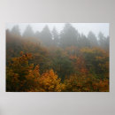 Search for serenade posters Nature