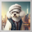 Search for bichon frise art Cute
