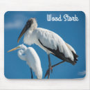 Search for stork electronics Bird