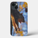 Recherche de squirrel Nature