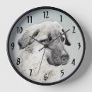 Recherche de bergers horloges Dog