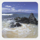 Search for hawaii surfing stickers Island