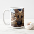 Recherche de alsacien tasses Dog