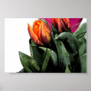 Recherche de rembrandt posters Floral