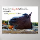 Search for pleasures Horse