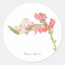 Search for foxglove stickers Flowers