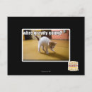 Search for gravity postcards I can has cheezburger