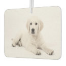 Search for trendy car air fresheners Create your own