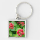Search for ripe keychains Fresh