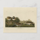 Recherche de amère cartes postales Couleur