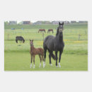 Search for horse pictures stickers Animals