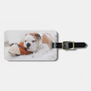Search for pet luggage tags Puppy