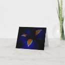 Search for emblems photography Flower