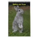 Recherche de lapin calendriers Lièvres