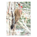 Search for flicker posters Northern