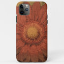 Search for gerber cases Gerbera daisy