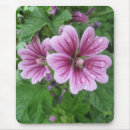 Search for mallow electronics Flowers