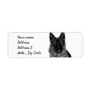Search for pastor return address labels Dog
