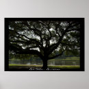 Recherche de oaks posters Trees