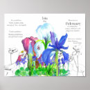 Search for february posters Birth month flower