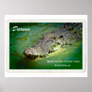 Recherche de de darwin posters Australie