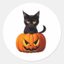 Search for kawaii pumpkin stickers Black
