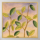 Recherche de arrière plan vert posters Plante