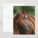 Recherche de headshot cartes postales Race
