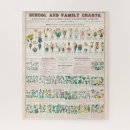 Recherche de plants puzzles Botanical