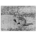 Recherche de rongeur planches à découper Faune