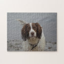 Search for spaniel puzzles Beach