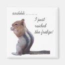 Search for chipmunk magnets Photograph
